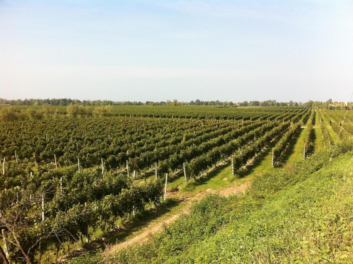 פוזולנגו Cascina Tabachera X10 Country House Sirmione Garda Lake חדר תמונה